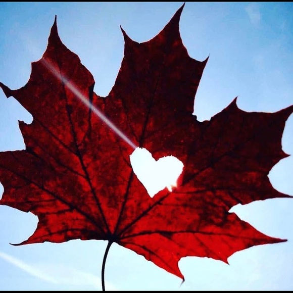 Meet your Posher, Drcannon06 - Picture 1 of 1